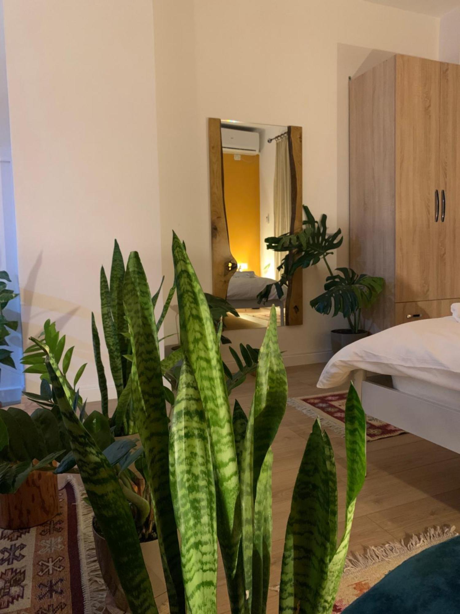Vibe Studio Apartment Tiranë Ngoại thất bức ảnh